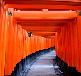 Santuario Fushimi Inari