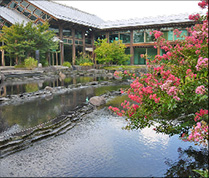 Parc Umekôji